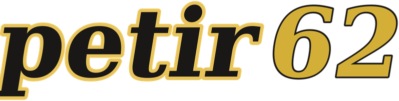 petir62 logo
